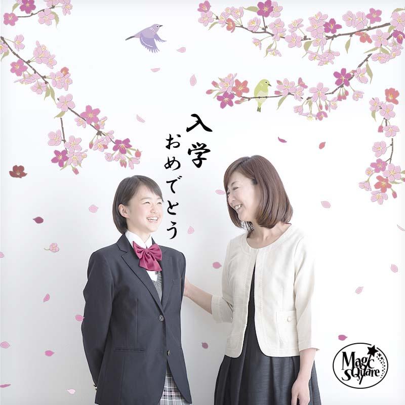 ウォールステッカー 誕生日  入学卒業お祝いセット  入園 入学 新入園 新入学 卒園 卒業 パーティー | 