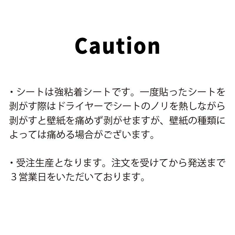 ウォールステッカー 誕生日  入学卒業お祝いセット  入園 入学 新入園 新入学 卒園 卒業 パーティー |  | 14