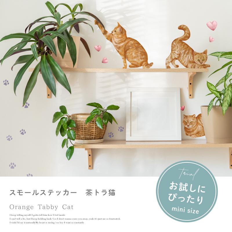 ウォールステッカー 飾り お試し 【茶トラ猫】 はがせる 壁 シール ステッカー 壁紙 飾りつけ 猫 ねこ ネコ プチプラ ワンコイン ミニサイズ 受注印刷 |  | 13