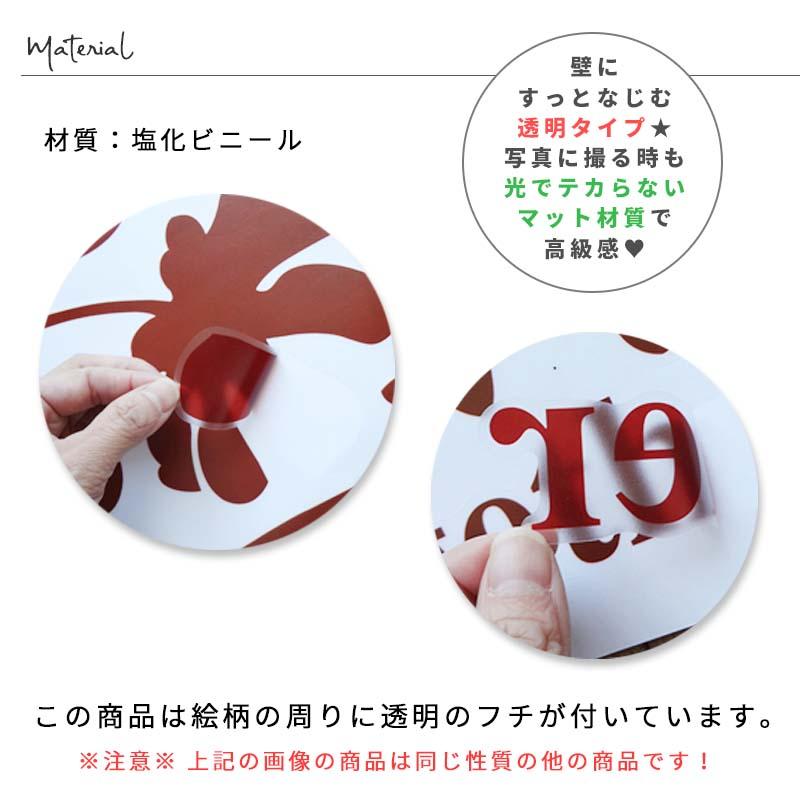 ウォールステッカー 飾り コスモス 花 【風にゆらめく花】 はがせる 壁 シール おしゃれ 植物 かわいい 北欧 インテリア 秋 受注印刷 |  | 06
