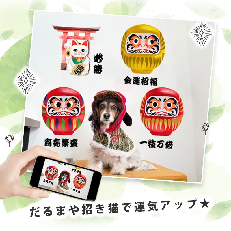 ウォールステッカー お正月 飾り 【だるまの開運祈願】 はがせる 壁 シール ステッカー 大きい 壁紙 飾り おしゃれ 運気 謹賀新年 受注印刷 |  | 02