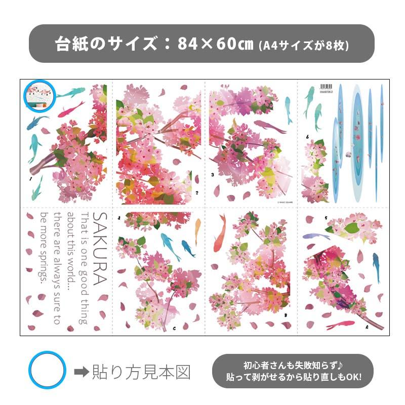 ウォールステッカー ハルヨ、コイ 和柄 桜 金魚 鯉 和 日本 さくら 春 |  | 02