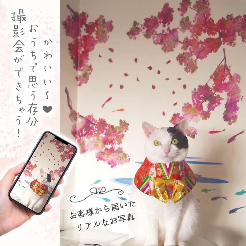 ウォールステッカー ハルヨ、コイ 和柄 桜 金魚 鯉 和 日本 さくら 春 |  | 06