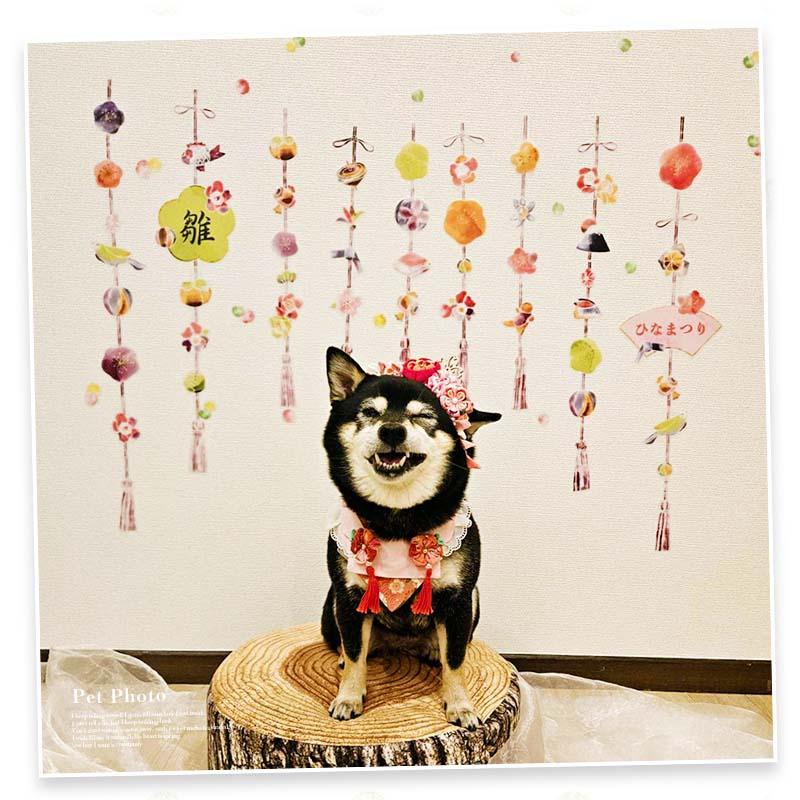 ウォールステッカー ひな祭り 【いざよい吊るし雛】 貼ってはがせる 壁 シール 賃貸OK ひなまつり 雛祭り おひなさま おひな様 つるし雛 初節句 受注印刷 |  | 16