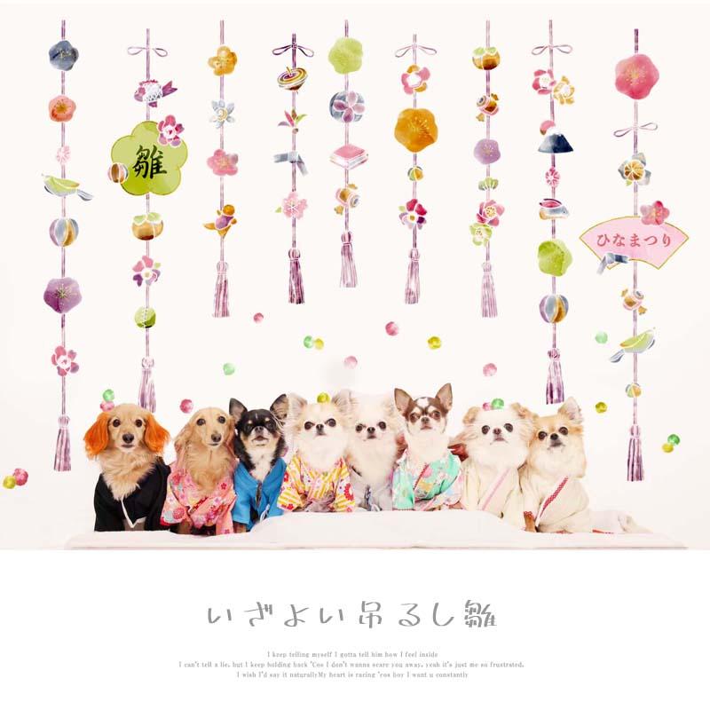 ウォールステッカー ひな祭り 【いざよい吊るし雛】 貼ってはがせる 壁 シール 賃貸OK ひなまつり 雛祭り おひなさま おひな様 つるし雛 初節句 受注印刷 |  | 17