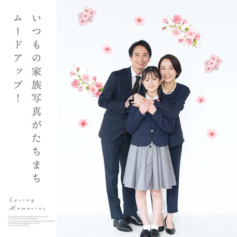 ウォールステッカー 桜 【ひなまつりブロッサム】 貼ってはがせる 壁 シール 賃貸OK ひなまつり ひな祭り 雛祭り おひなさま おひな様 つるし雛 受注印刷 |  | 14