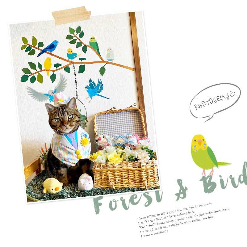 ウォールステッカー はがせる 壁 シール ステッカー 壁紙 大きい 飾り 飾りつけ おしゃれ 北欧 植物 花 動物 身長計 子供部屋 海 猫 動物 トイレ 文 |  | 05