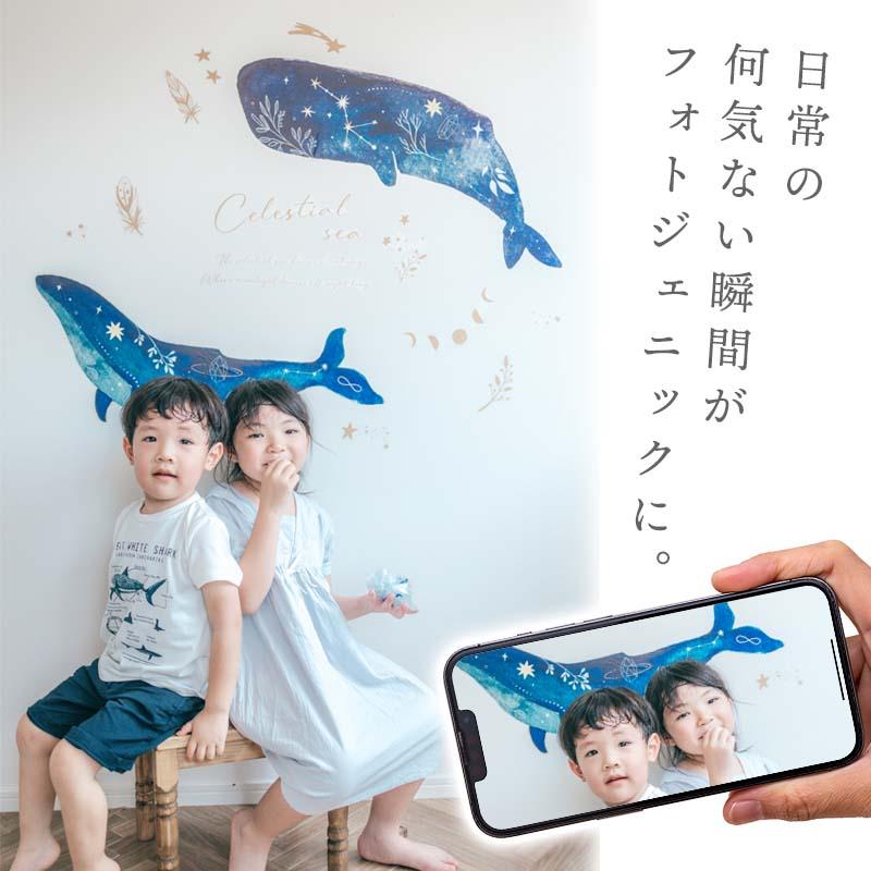 ウォールステッカー 海のなかま 飾り 【セレスティアルシー】 はがせる 壁 シール ステッカー 壁紙 飾りつけ 北欧 動物 海の生き物 魚 くじら クジラ 受注印刷 | ウォールステッカーのスクウェア | 10