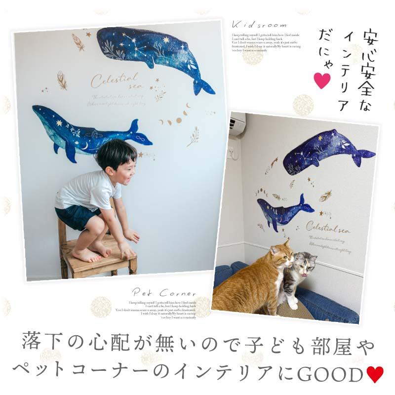 ウォールステッカー 海 くじら はがせる 壁 シール ステッカー 壁紙 北欧 植物 木 葉 草 花 観葉植物 動物 海のなかま 海の動物 海の世界 | マジックスクウェア | 11