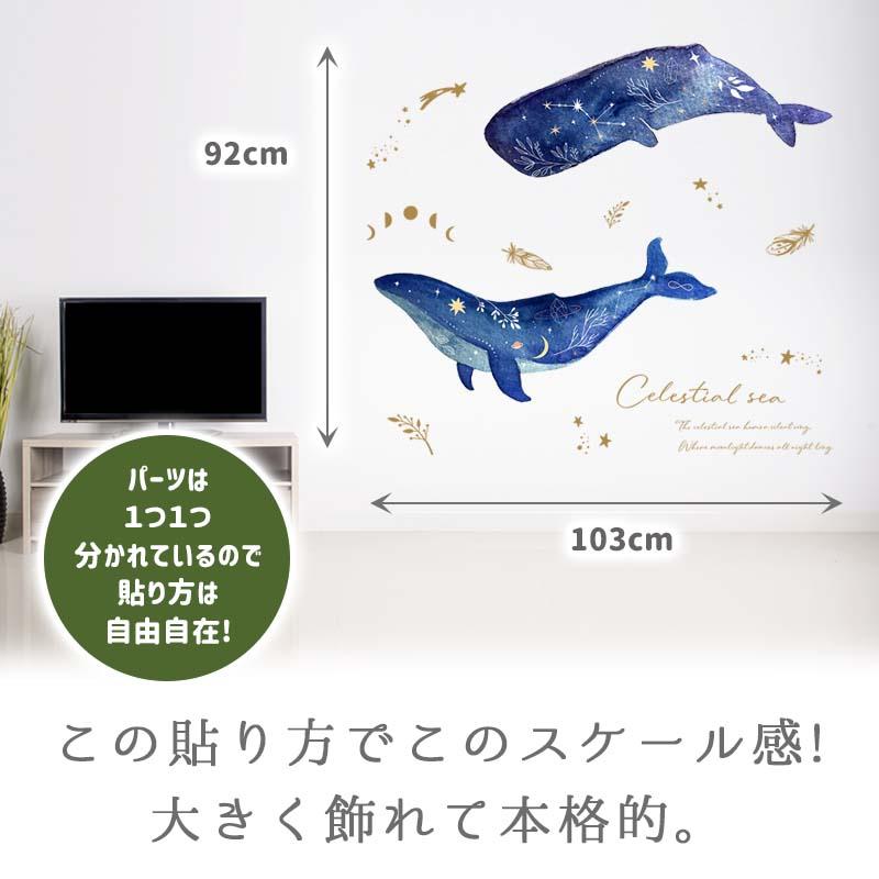 ウォールステッカー 海のなかま 飾り 【セレスティアルシー】 はがせる 壁 シール ステッカー 壁紙 飾りつけ 北欧 動物 海の生き物 魚 くじら クジラ 受注印刷 | ウォールステッカーのスクウェア | 03