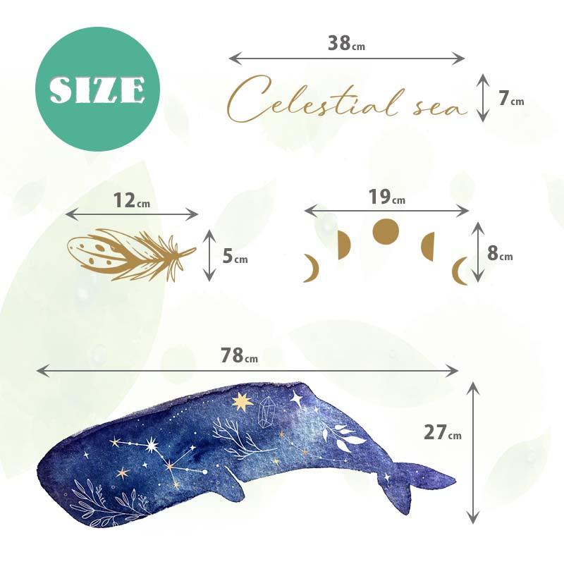 ウォールステッカー 海 くじら はがせる 壁 シール ステッカー 壁紙 北欧 植物 木 葉 草 花 観葉植物 動物 海のなかま 海の動物 海の世界 | マジックスクウェア | 05