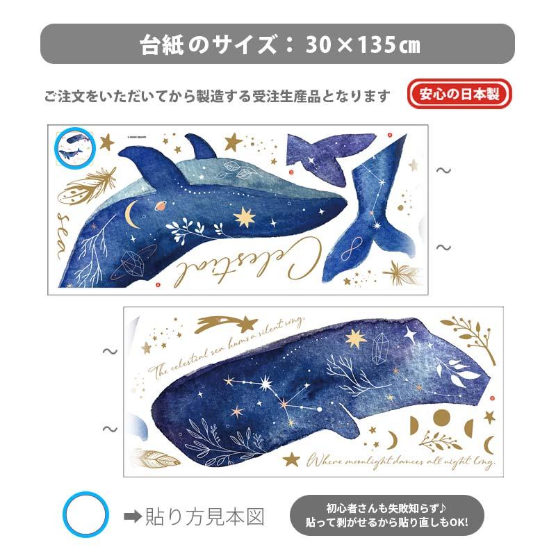 ウォールステッカー 海 くじら はがせる 壁 シール ステッカー 壁紙 北欧 植物 木 葉 草 花 観葉植物 動物 海のなかま 海の動物 海の世界 | マジックスクウェア | 06