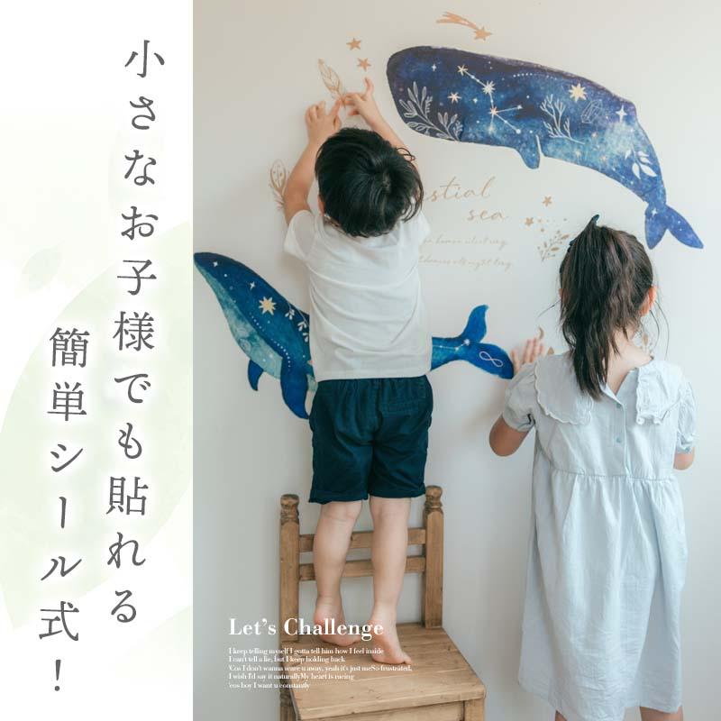 ウォールステッカー 海のなかま 飾り 【セレスティアルシー】 はがせる 壁 シール ステッカー 壁紙 飾りつけ 北欧 動物 海の生き物 魚 くじら クジラ 受注印刷 | ウォールステッカーのスクウェア | 07