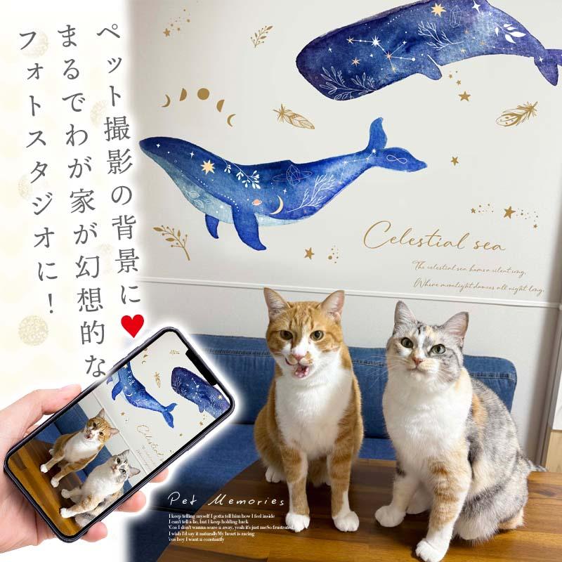 ウォールステッカー 海のなかま 飾り 【セレスティアルシー】 はがせる 壁 シール ステッカー 壁紙 飾りつけ 北欧 動物 海の生き物 魚 くじら クジラ 受注印刷 | ウォールステッカーのスクウェア | 09