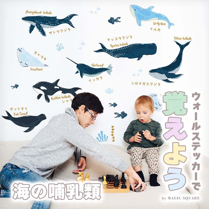 ウォールステッカー 海 くじら はがせる 壁 シール ステッカー 壁紙 北欧 植物 木 葉 草 花 観葉植物 動物 海のなかま 海の動物 海の世界 | マジックスクウェア