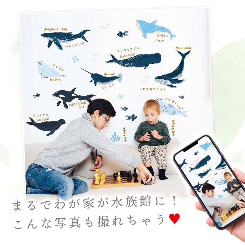 ウォールステッカー 海 くじら はがせる 壁 シール ステッカー 壁紙 北欧 植物 木 葉 草 花 観葉植物 動物 海のなかま 海の動物 海の世界 | マジックスクウェア | 11