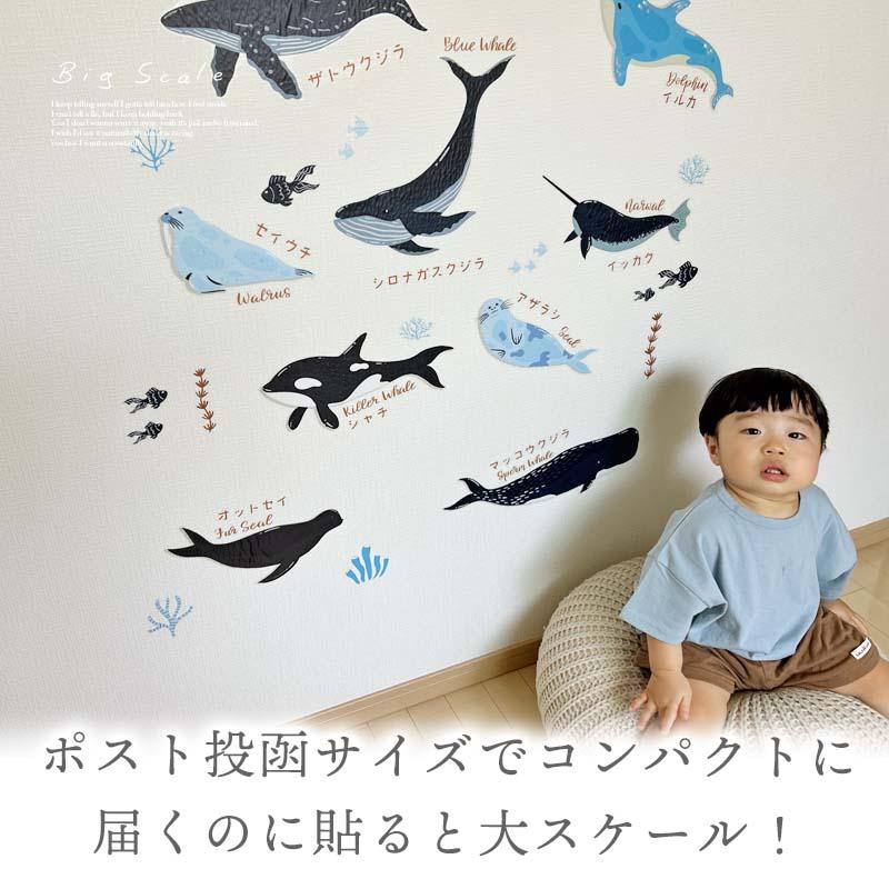 ウォールステッカー 海 くじら はがせる 壁 シール ステッカー 壁紙 北欧 植物 木 葉 草 花 観葉植物 動物 海のなかま 海の動物 海の世界 | マジックスクウェア | 13