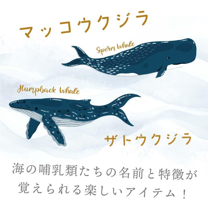 ウォールステッカー 海 くじら はがせる 壁 シール ステッカー 壁紙 北欧 植物 木 葉 草 花 観葉植物 動物 海のなかま 海の動物 海の世界 | マジックスクウェア | 03