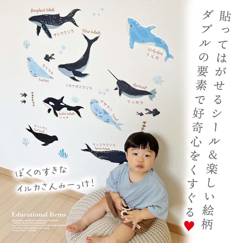 ウォールステッカー 海 くじら はがせる 壁 シール ステッカー 壁紙 北欧 植物 木 葉 草 花 観葉植物 動物 海のなかま 海の動物 海の世界 | マジックスクウェア | 04