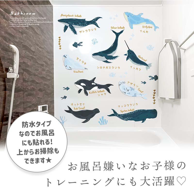 ウォールステッカー 海 くじら はがせる 壁 シール ステッカー 壁紙 北欧 植物 木 葉 草 花 観葉植物 動物 海のなかま 海の動物 海の世界 | マジックスクウェア | 05