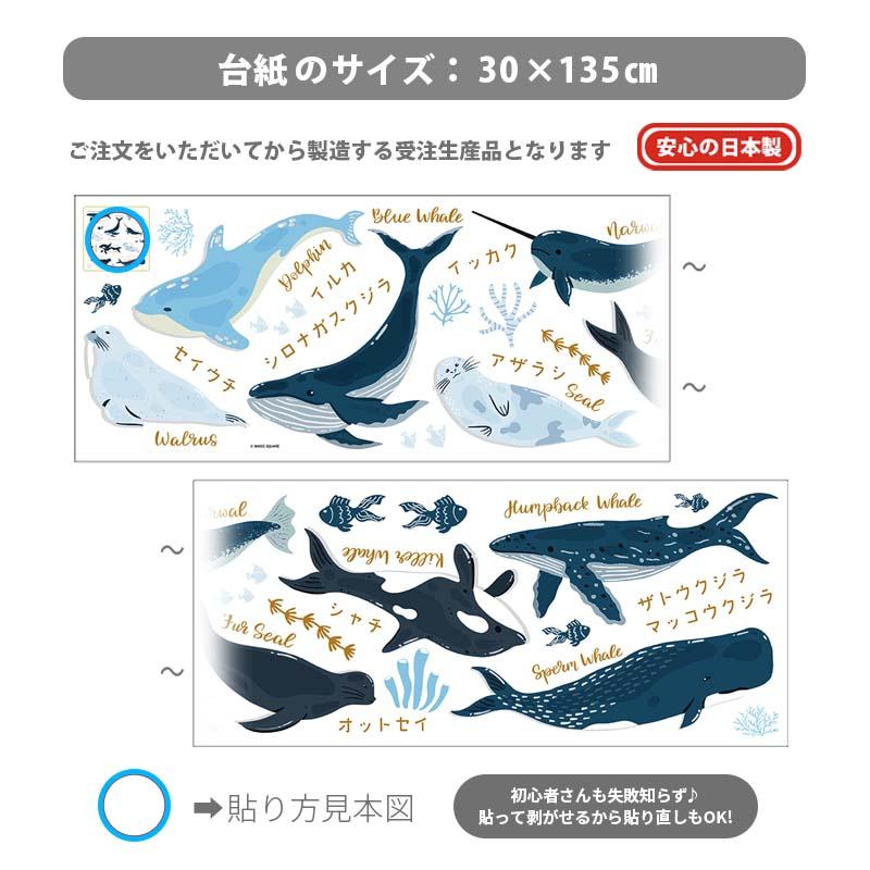 ウォールステッカー 海 くじら はがせる 壁 シール ステッカー 壁紙 北欧 植物 木 葉 草 花 観葉植物 動物 海のなかま 海の動物 海の世界 | マジックスクウェア | 07