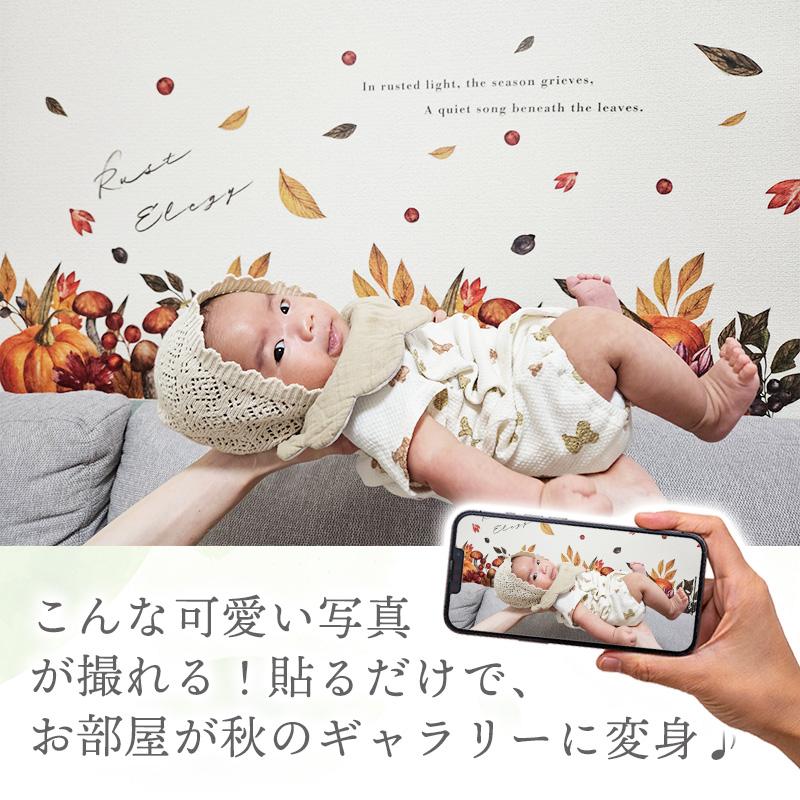ウォールステッカー ハロウィン 秋 紅葉 飾り 【ラストエレジー】 はがせる 壁 シール ステッカー 壁紙 飾り 飾りつけ おしゃれ 店内装飾 背景 受注印刷 | ウォールステッカーのスクウェア | 11
