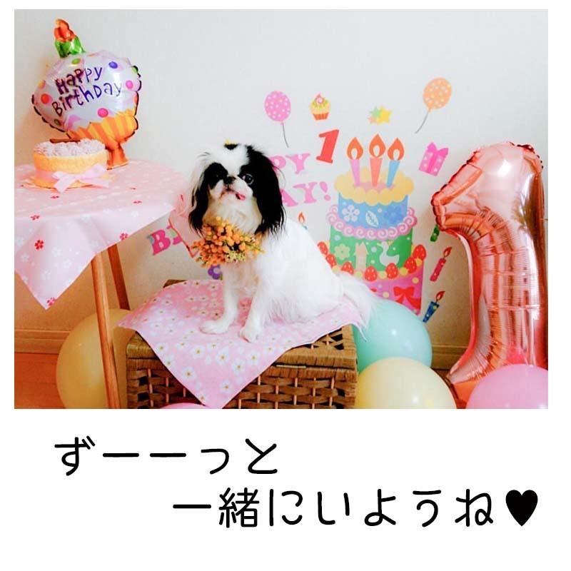 激安本物 ウォールステッカー はがせる シール 壁紙 誕生日 飾り Decoパーティー ハーフバースデー バースデー 飾り付け パーティー ハーフ 1歳 Aynaelda Com