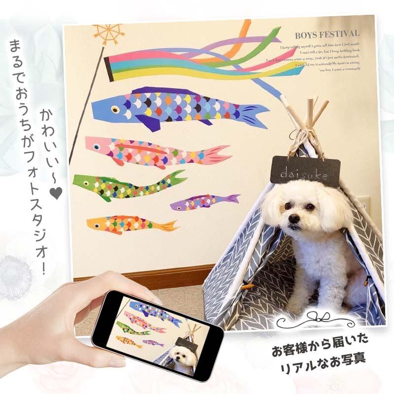 ウォールステッカー こいのぼり 子供の日 鯉のぼり パステルこいのぼり シール 壁紙 飾り かわいい 端午の節句 こどもの日 鯉のぼり 鎧兜 五月人形 初節句 W0175 2 ウォールステッカーのスクウェア 通販 Yahoo ショッピング