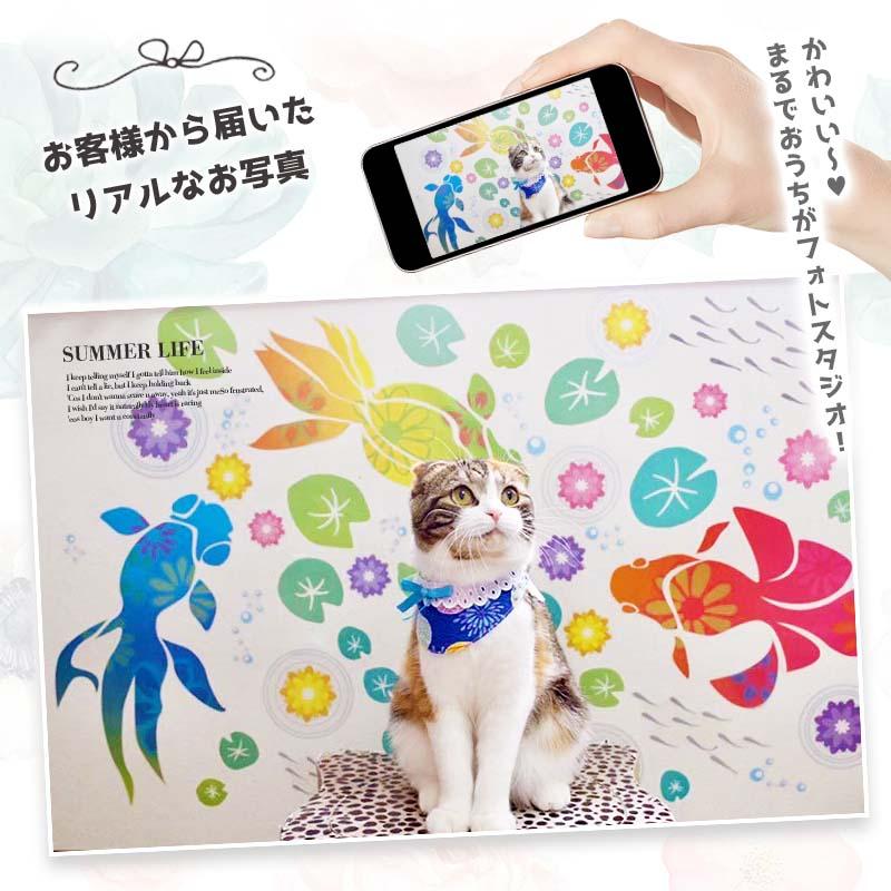 ウォールステッカー 夏 金魚 飾り 花 大きい 和柄 おしゃれ はがせる 高級感 葉っぱ お風呂 金魚物語 | マジックスクウェア | 13