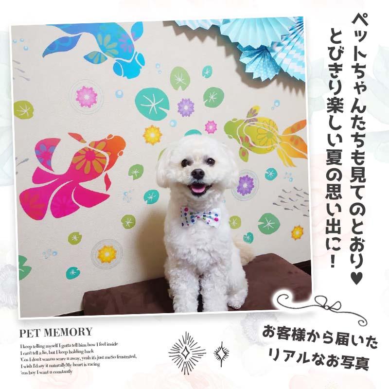 ウォールステッカー 夏 金魚 飾り 花 大きい 和柄 おしゃれ はがせる 高級感 葉っぱ お風呂 金魚物語 | マジックスクウェア | 07