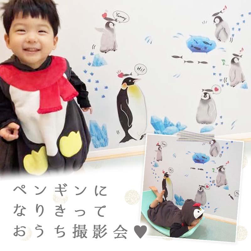 ウォールステッカー 飾り ペンギン 【おうちで南極探検隊】 はがせる 壁 シール ステッカー 壁紙 飾りつけ 水族館 コウテイペンギン 海の生き物 | ウォールステッカーのスクウェア | 13