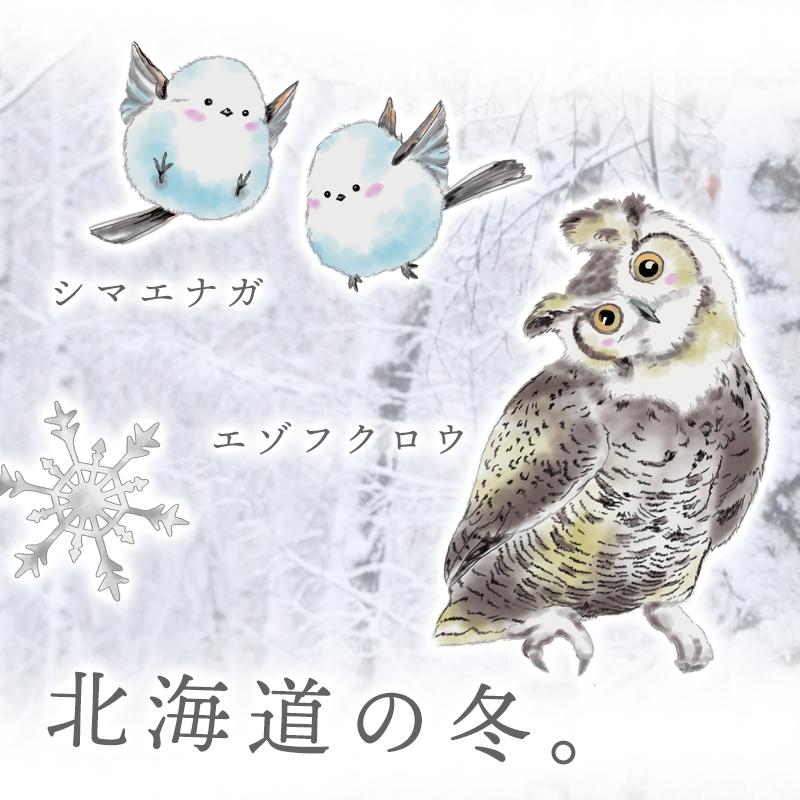 ウォールステッカー はがせる 壁 シール ステッカー 壁紙 大きい 飾り 飾りつけ おしゃれ 北欧 植物 花 動物 身長計 子供部屋 海 猫 動 | マジックスクウェア | 02