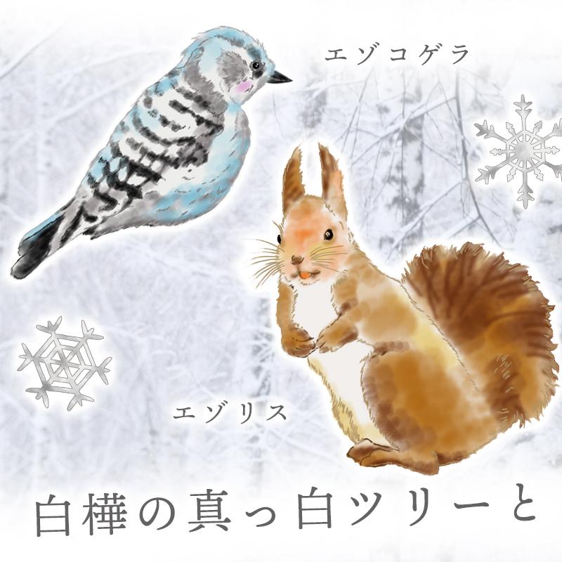 ウォールステッカー はがせる 壁 シール ステッカー 壁紙 大きい 飾り 飾りつけ おしゃれ 北欧 植物 花 動物 身長計 子供部屋 海 猫 動 | マジックスクウェア | 03