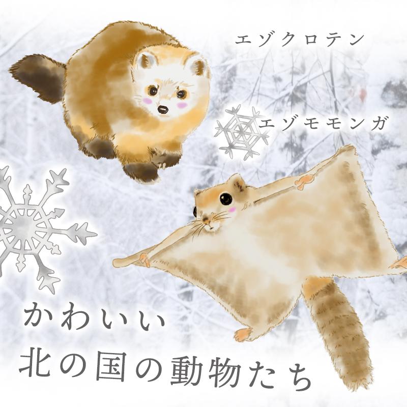 ウォールステッカー はがせる 壁 シール ステッカー 壁紙 大きい 飾り 飾りつけ おしゃれ 北欧 植物 花 動物 身長計 子供部屋 海 猫 動 | マジックスクウェア | 04