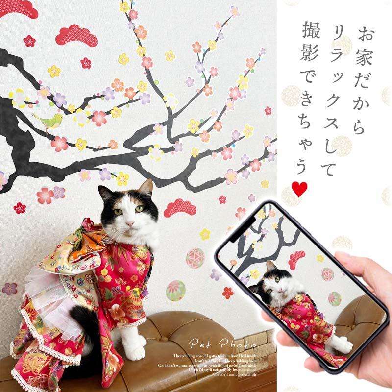 ウォールステッカー 梅 【飛翔】 貼って はがせる 壁 シール 壁紙 ステッカー 飾り 北欧 木 葉 草 花 観葉植物 植物 人気 カラフル 梅の木 桜 受注印刷 | マジックスクウェア | 13