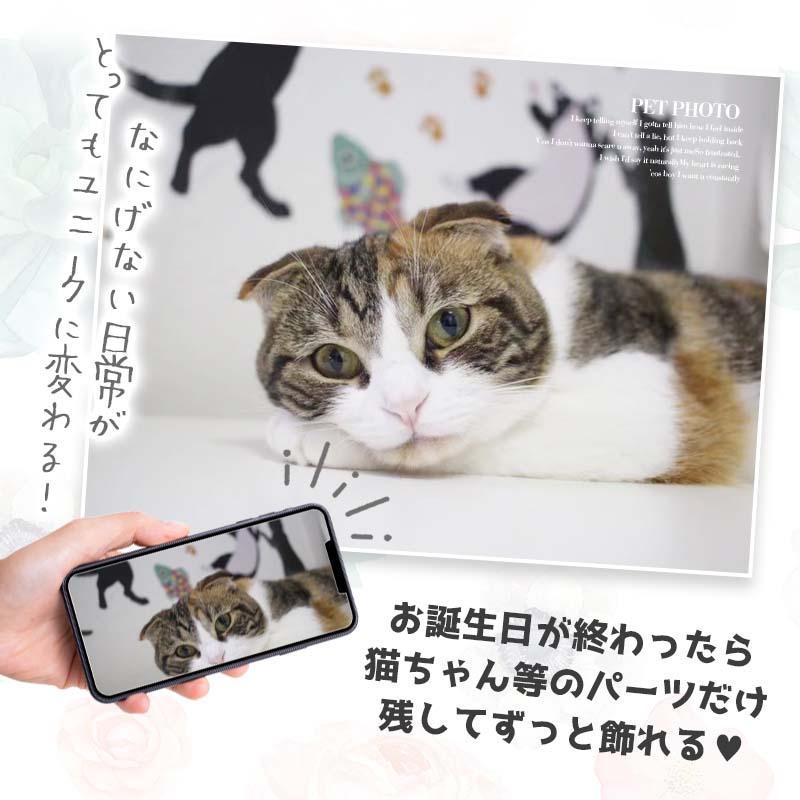 ウォールステッカー ハッピーにゃ〜スデー 誕生日 バースデー ハーフバースデー 壁紙 貼ってはがせる 賃貸OK 大きい 木 花 窓 海 おしゃれ 高級感 北欧 動物 |  | 14