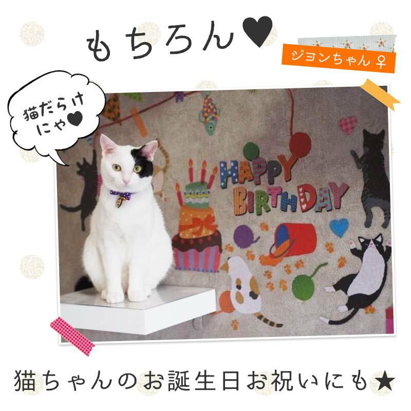 ウォールステッカー ハッピーにゃ〜スデー 誕生日 バースデー ハーフバースデー 壁紙 貼ってはがせる 賃貸OK 大きい 木 花 窓 海 おしゃれ 高級感 北欧 動物 |  | 05