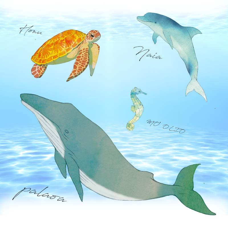 ウォールステッカー はがせる 壁 シール ステッカー 壁紙 大きい 飾り 飾りつけ おしゃれ 北欧 植物 花 動物 身長計 子供部屋 海 猫 動物 トイレ 文字 | マジックスクウェア | 03