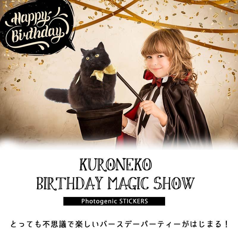 ウォールステッカー はがせる シール 壁紙 誕生日 飾り くろねこマジックショー バースデー 飾り付け パーティー ハーフ 1歳 2歳 男 女 黒猫 W0268 ウォールステッカーのスクウェア 通販 Yahoo ショッピング