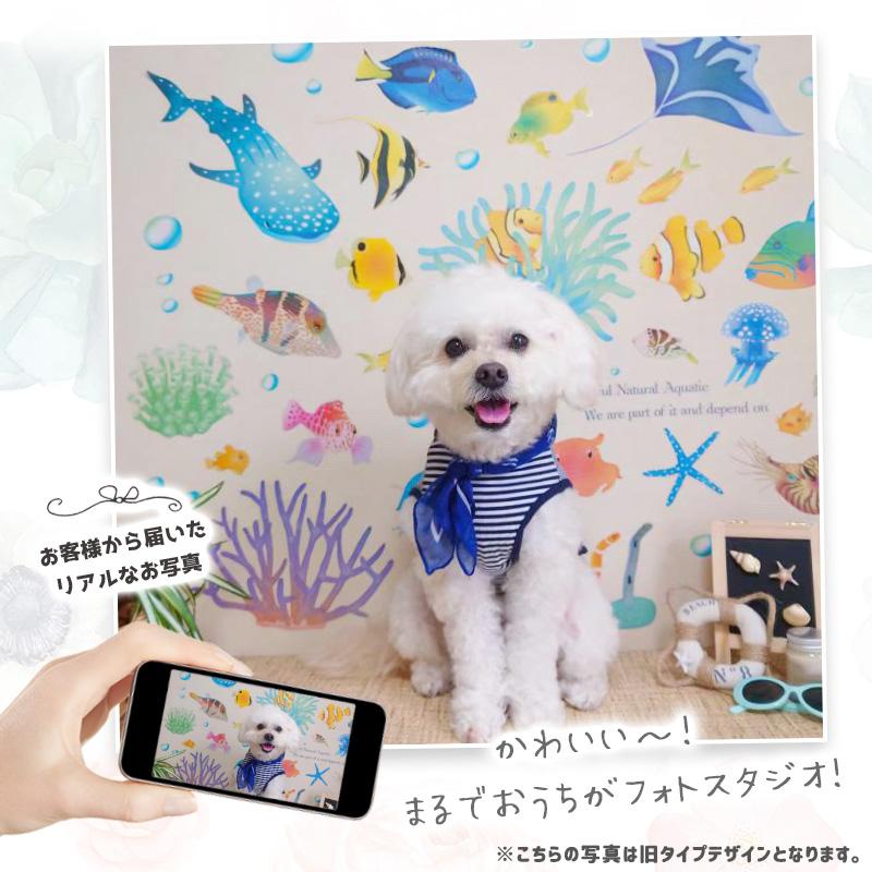 ウォールステッカー はがせる 壁 シール ステッカー 壁紙 大きい 飾り 飾りつけ おしゃれ 北欧 植物 花 動物 身長計 子供部屋 海 猫 動物 トイレ 文字 | マジックスクウェア | 11