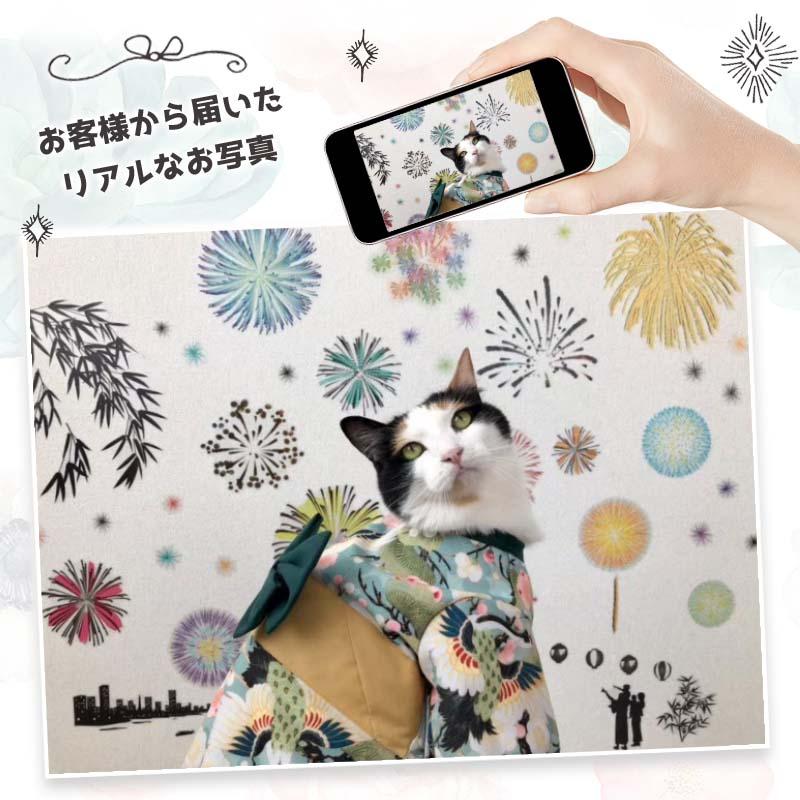 ウォールステッカー 花火 【いつでも花火】 はがせる 壁 シール ステッカー 壁紙 飾りつけ おしゃれ 北欧 植物 木 葉 草 花 観葉植物 夏 はなび お祭り 夏祭り | ウォールステッカーのスクウェア | 16