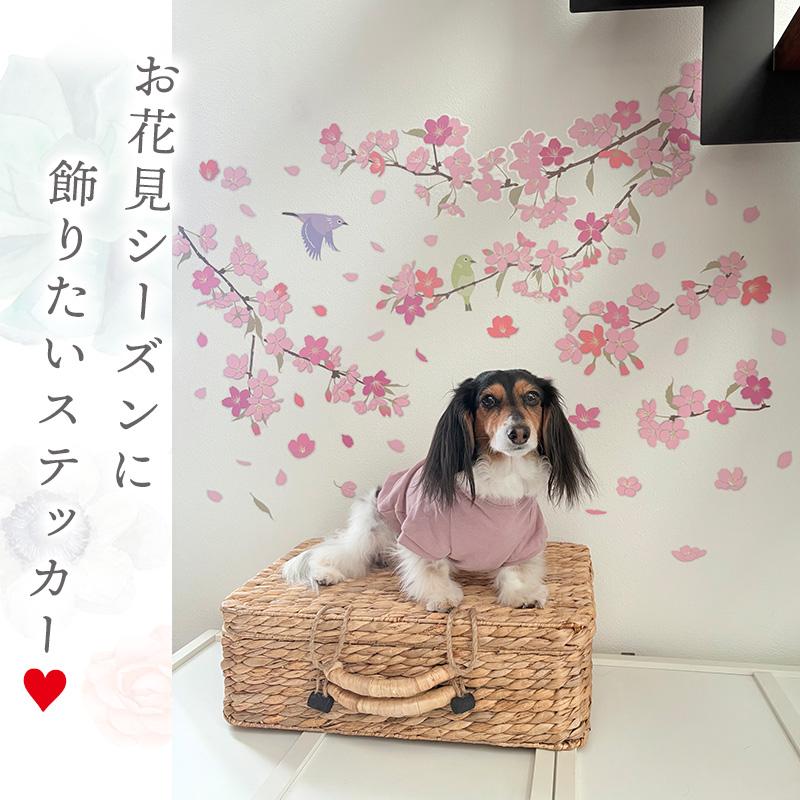 【最終値下げ‼️】DARTSLIVE 200S 桜の花柄デコレーションシール付き 楽天市場】ネイルステッカー 桜 さくら花 蝶 ネイルウォーター