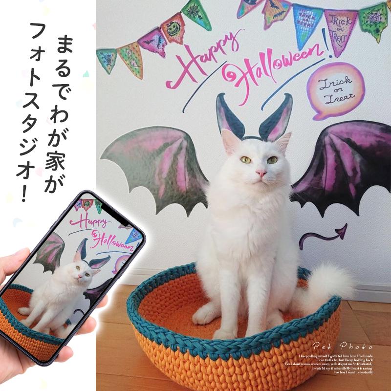 ウォールステッカー はがせる ハロウィン 飾り 【なりきりデビルちゃん】  玄関 室内 カボチャ 骸骨 コウモリ 悪魔 羽根 デビル あくま コスチューム 受注印刷 | ウォールステッカーのスクウェア | 15