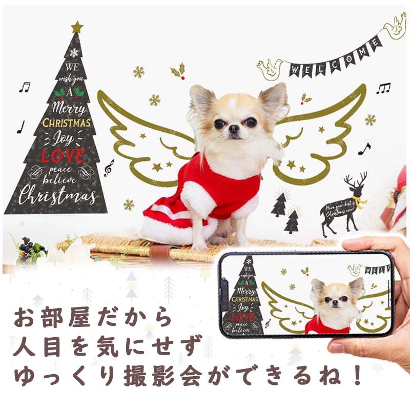 ウォールステッカー クリスマス  飾り付け 室内装飾 シール 壁紙 壁面 玄関 パーティー おしゃれ ホーリーエンジェル | マジックスクウェア | 15