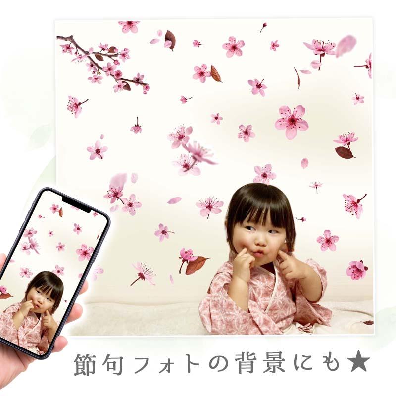ウォールステッカー 飾り さくら 桜 【トスブロッサム】 はがせる 壁 シール ステッカー 壁紙 飾りつけ 花 背景 実写 ピンク フラワーカーテン 受注印刷 | ウォールステッカーのスクウェア | 12