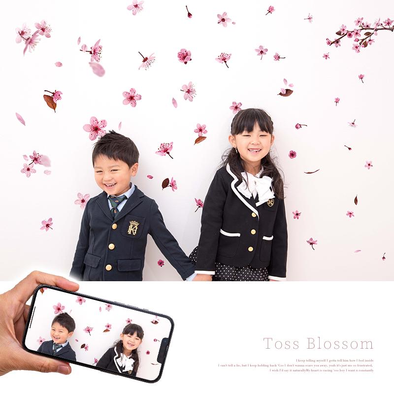 ウォールステッカー 飾り さくら 桜 【トスブロッサム】 はがせる 壁 シール ステッカー 壁紙 飾りつけ 花 背景 実写 ピンク フラワーカーテン 受注印刷 | ウォールステッカーのスクウェア | 16