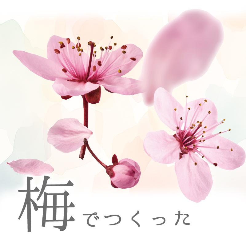 ウォールステッカー 飾り さくら 桜 【トスブロッサム】 はがせる 壁 シール ステッカー 壁紙 飾りつけ 花 背景 実写 ピンク フラワーカーテン 受注印刷 | ウォールステッカーのスクウェア | 02