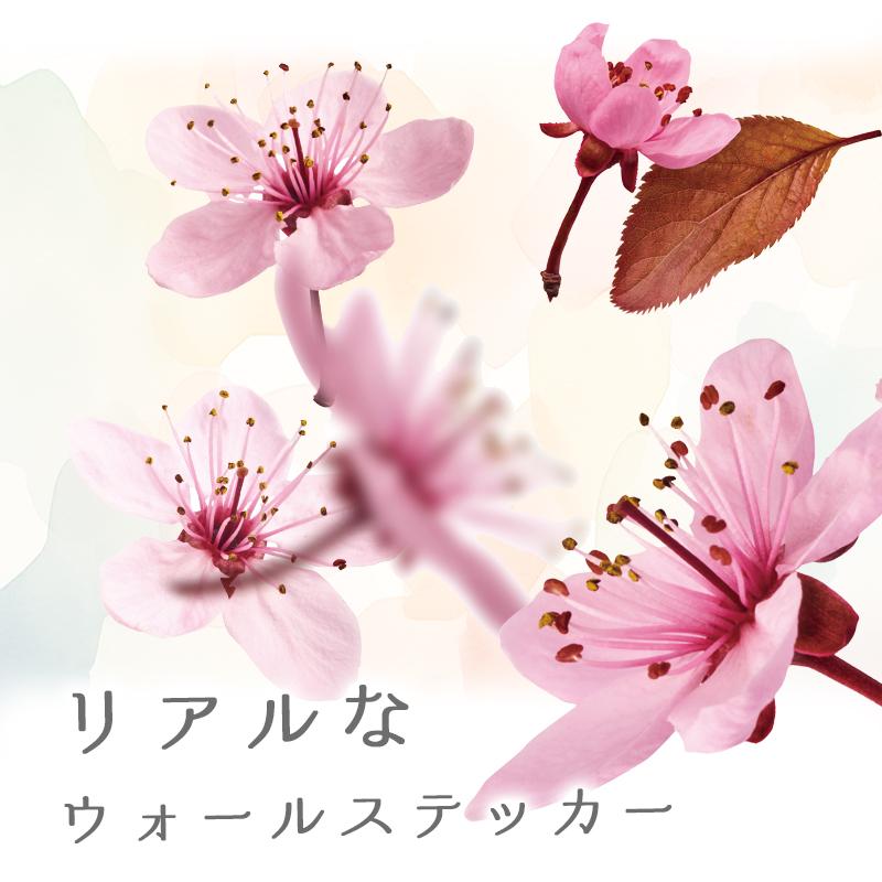 ウォールステッカー 飾り さくら 桜 【トスブロッサム】 はがせる 壁 シール ステッカー 壁紙 飾りつけ 花 背景 実写 ピンク フラワーカーテン 受注印刷 | ウォールステッカーのスクウェア | 03