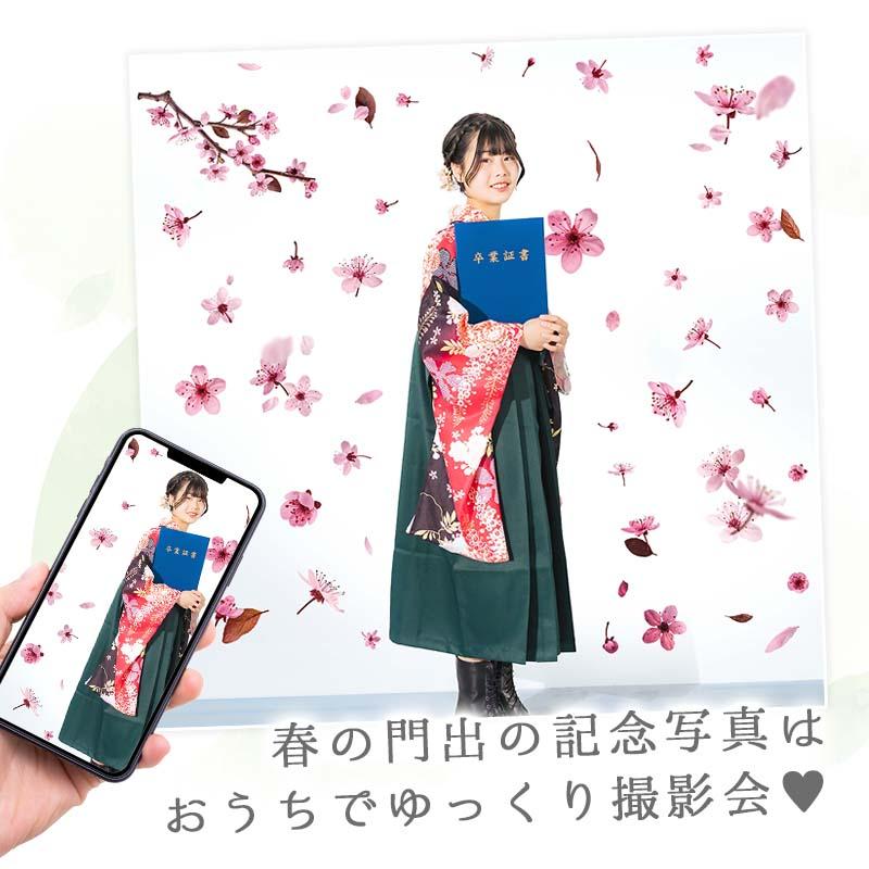 ウォールステッカー 飾り さくら 桜 【トスブロッサム】 はがせる 壁 シール ステッカー 壁紙 飾りつけ 花 背景 実写 ピンク フラワーカーテン 受注印刷 | ウォールステッカーのスクウェア | 08