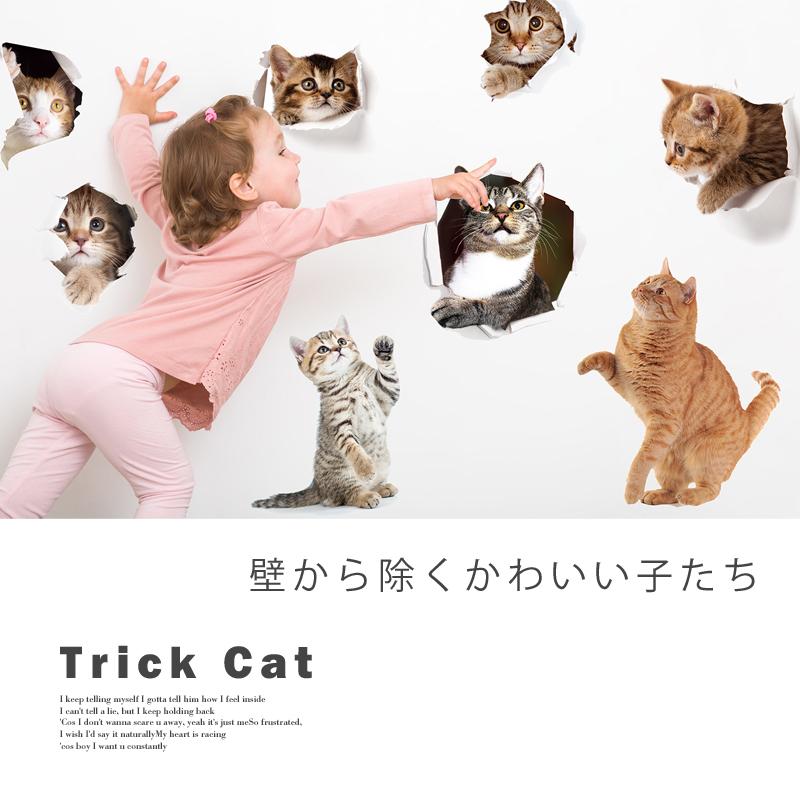 ウォールステッカー 飾り 動物 猫 ねこ 【トリック猫】 はがせる 壁 シール おしゃれ 植物 北欧 観葉植物 木 実写 インテリア 受注印刷 |  | 01